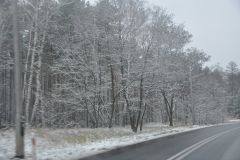 DSC_1095